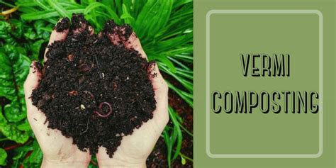 vercomcispor o|Vermicompost .